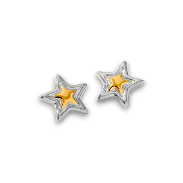 ARETES ESTRELLA BICOLOR