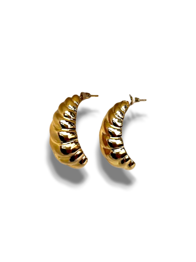 ARETES CUERNO LINEAS