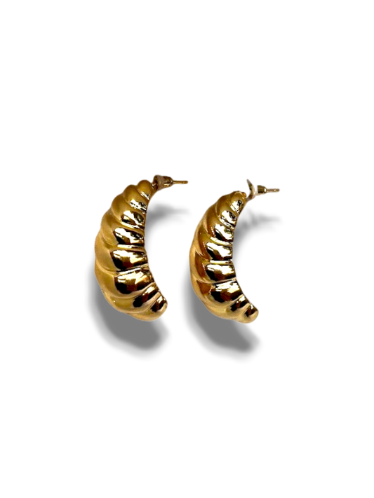 ARETES CUERNO LINEAS