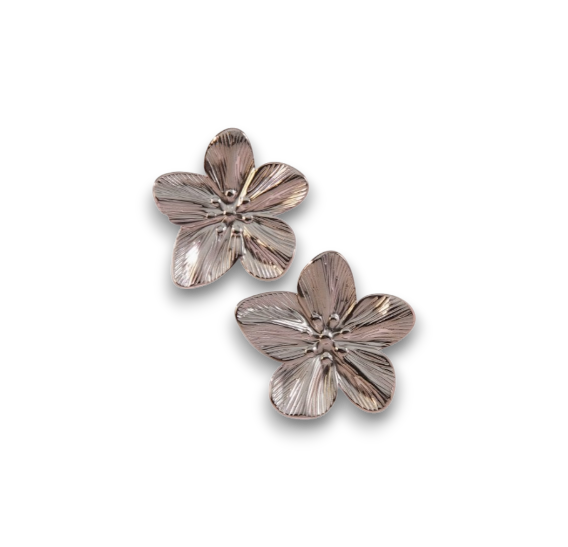 ARETES FERN