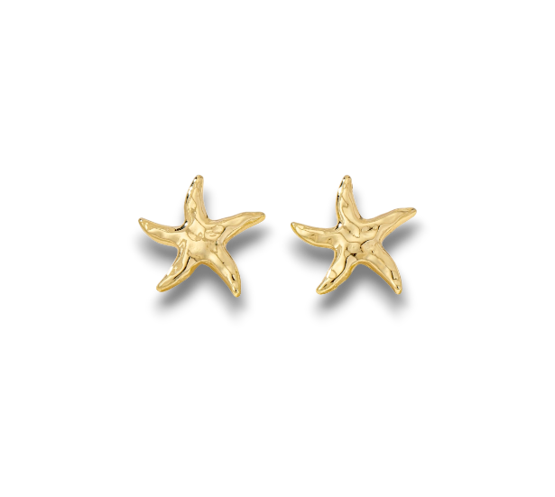 ARETES ESTRELLAS MAR
