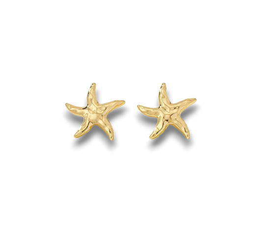 ARETES ESTRELLAS MAR