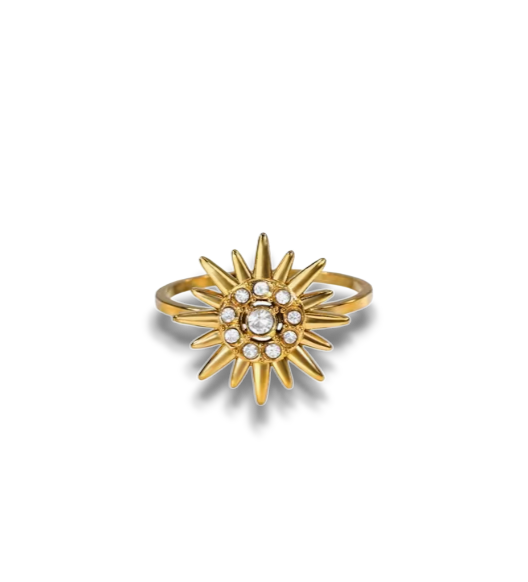 ANILLO VANE