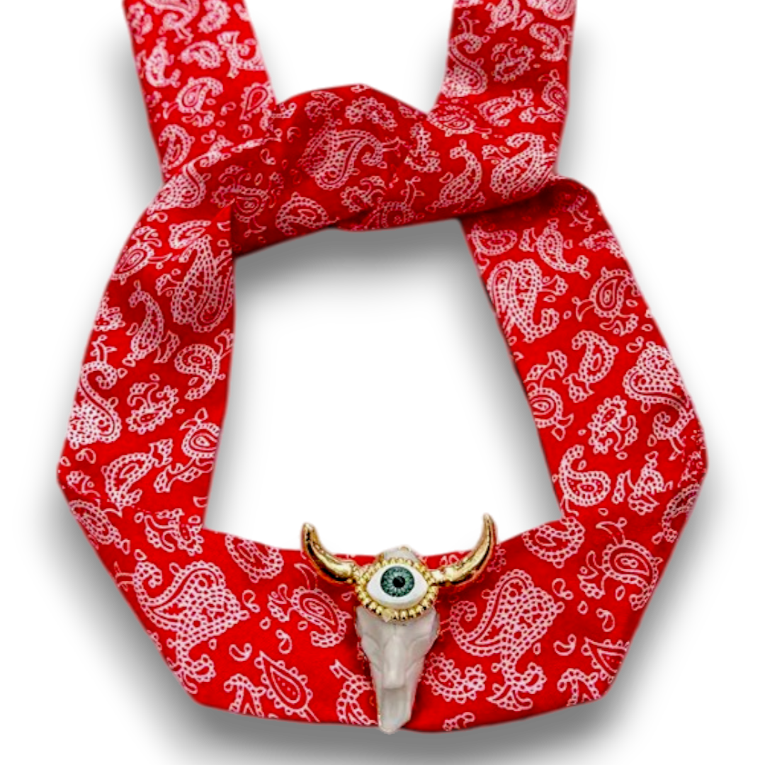 CHOKER OJO TORO